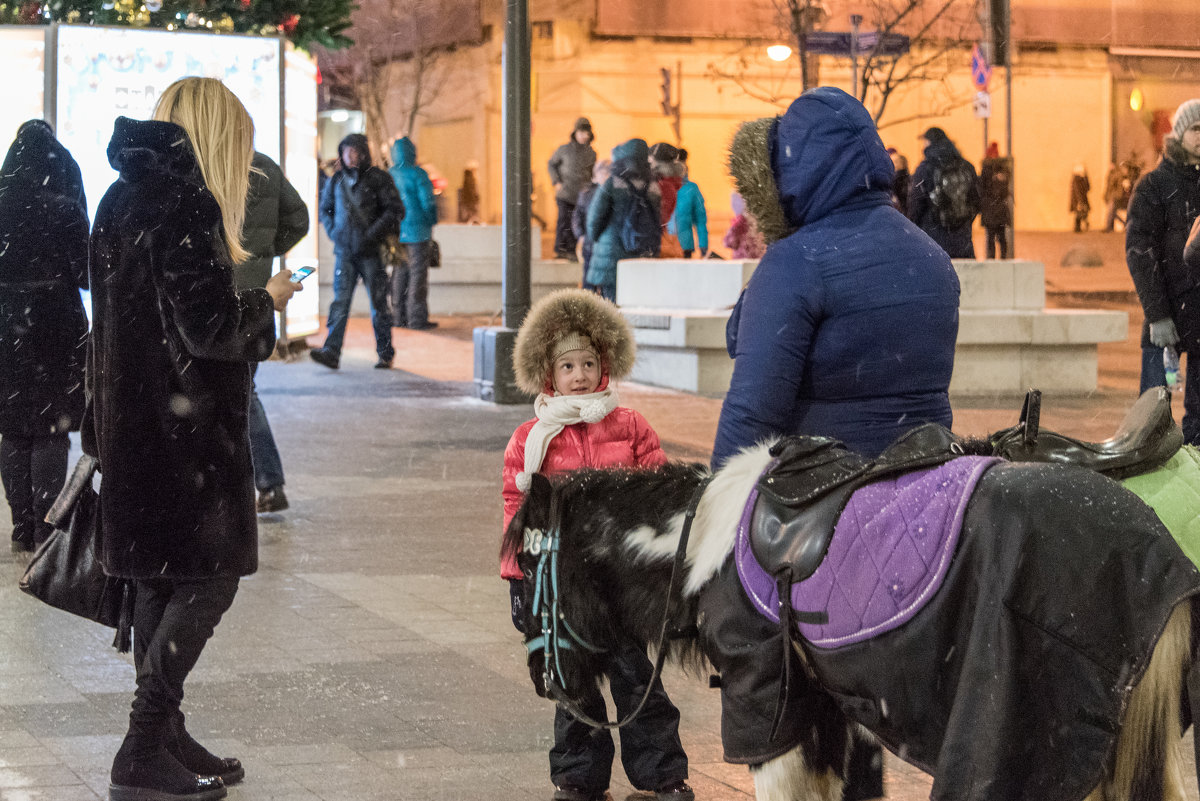 " А лошадке холодно?" - Владимир Безбородов