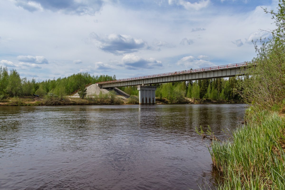 Мост через Амню - Дмитрий Сиялов