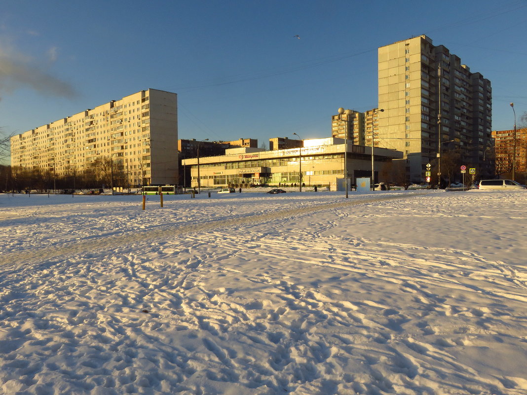 Мороз и солнце, день чудесный - Андрей Лукьянов