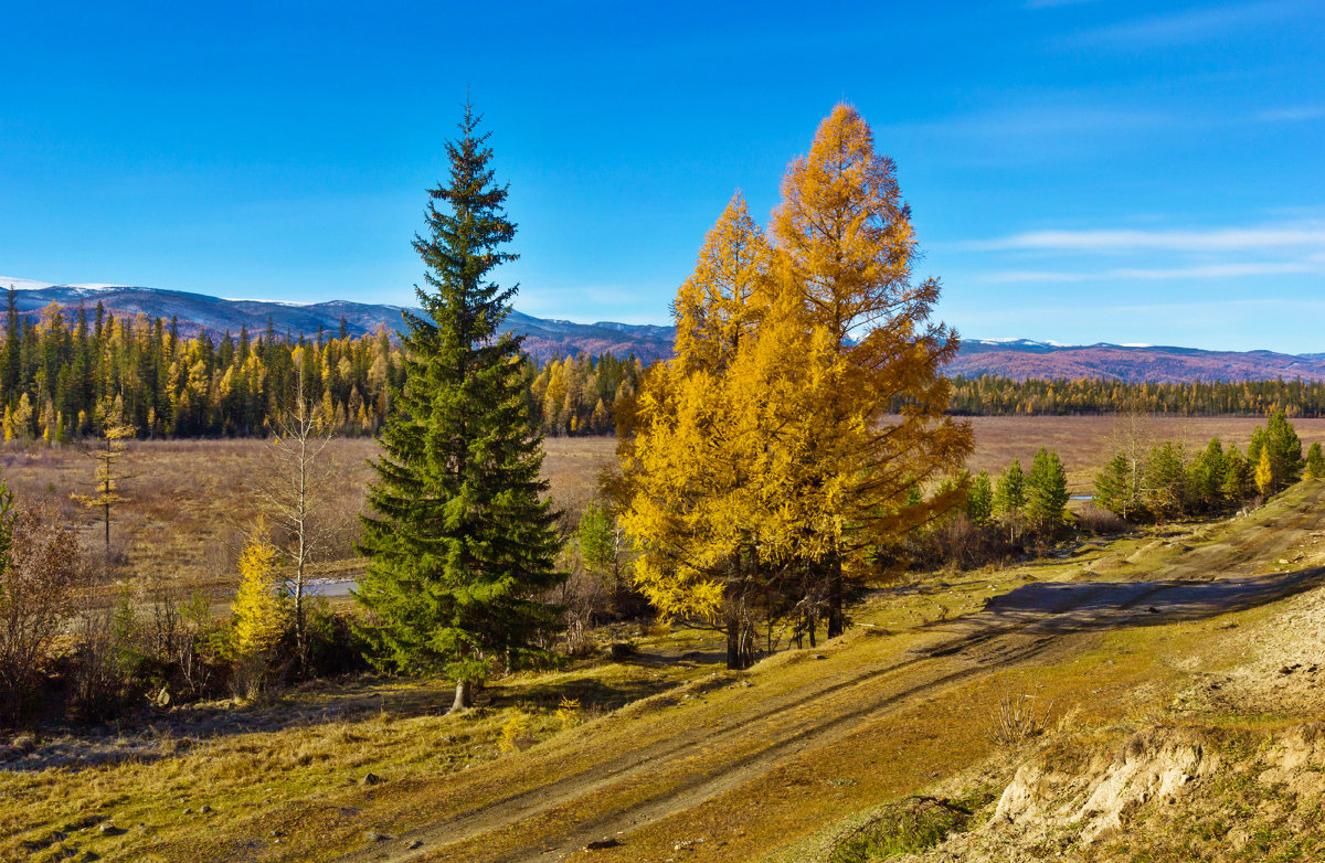 Осенний пейзаж - Анатолий Иргл