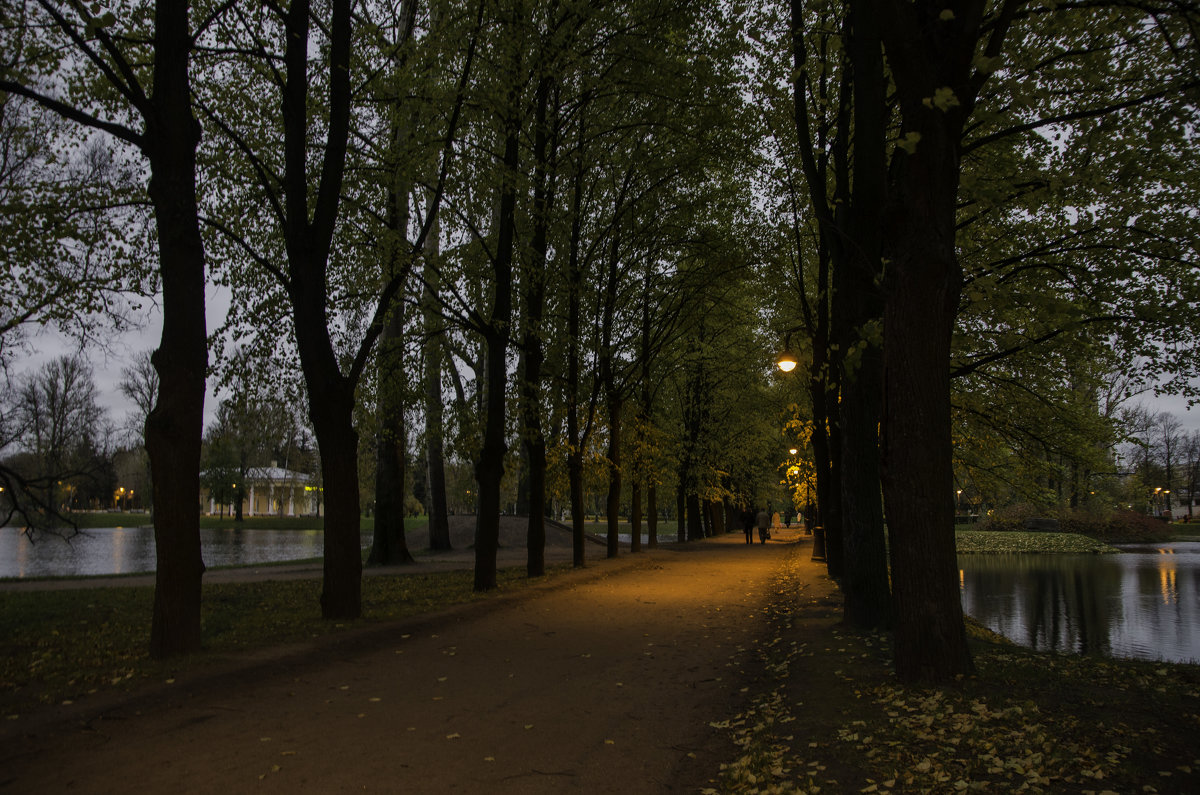 Вечер в парке - Nataly Malysheva