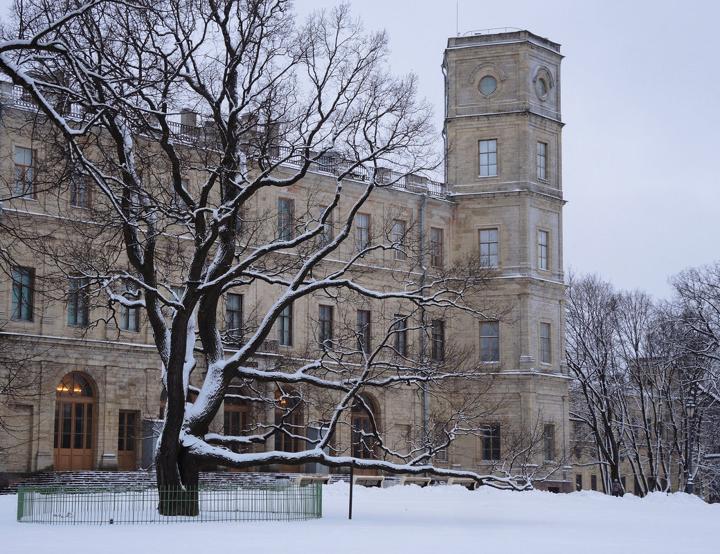 январские сумерки в парке - sv.kaschuk 