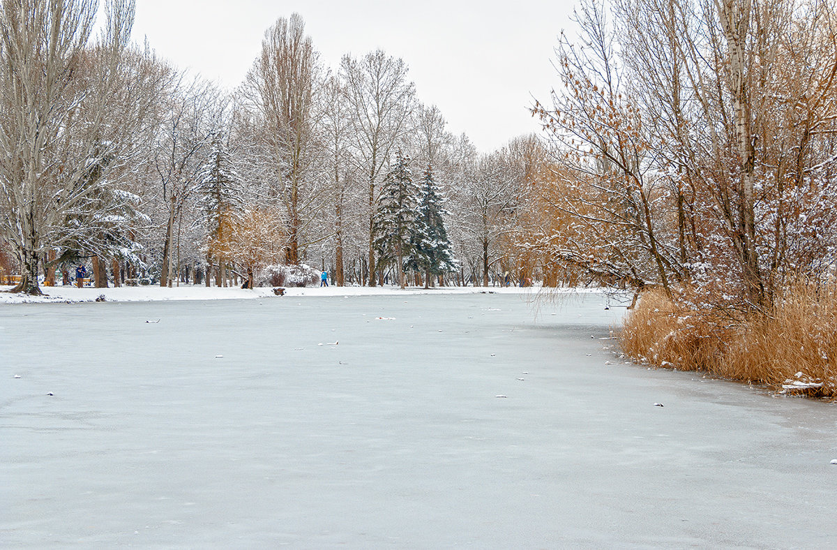 На зимнем озере - Юрий Яловенко