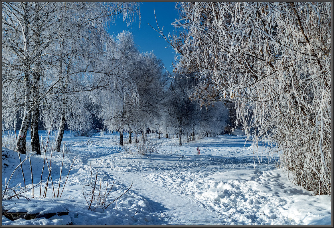 *** - Александр Лихачёв