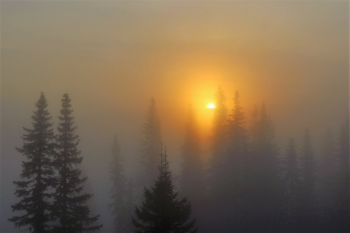 Туманным утром на восходе - Сергей Чиняев 