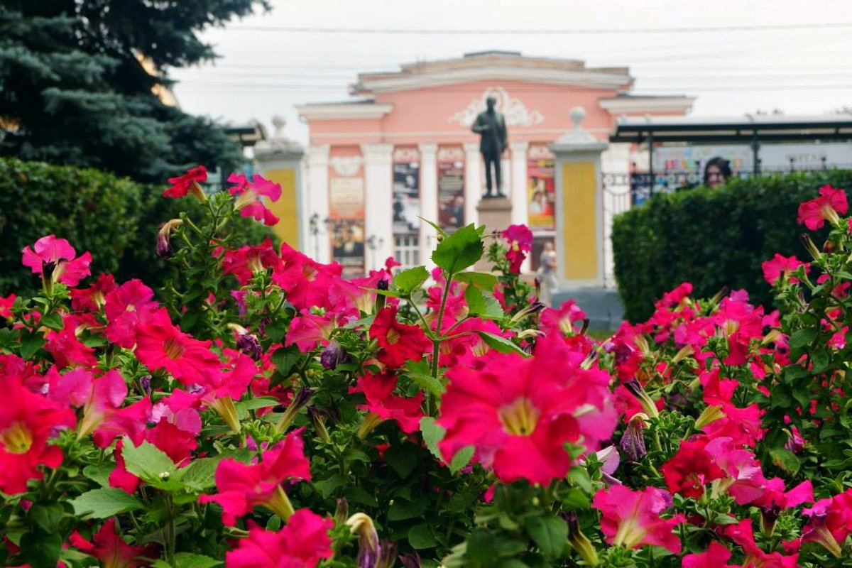 Цветы в рязанском парке - Алексей Матвейчик