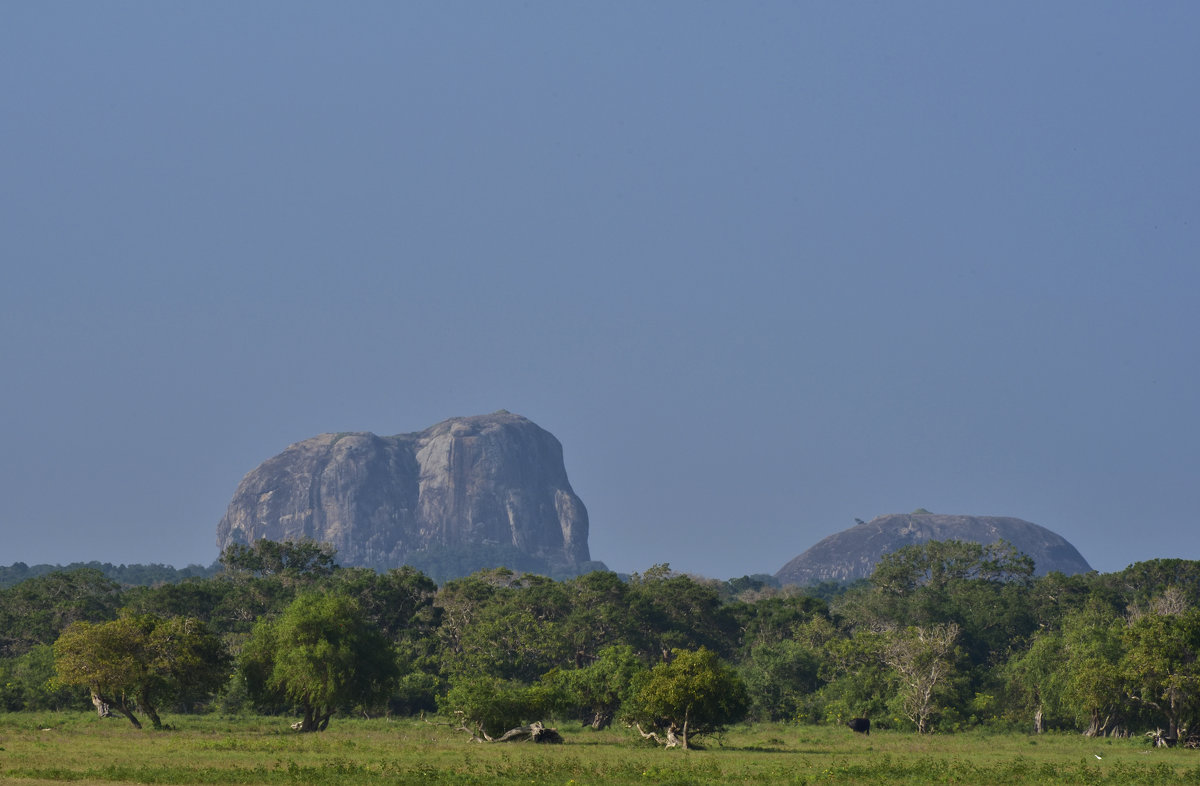 Скала-слон в национальном парке Яла. Elephant-like rock in the Yala national park. - Юрий Воронов