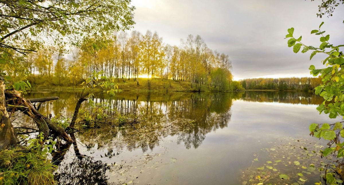 озеро в Смоленской области, по легенде одно из мест где может быть затоплено золото Наполеона - Алексей 