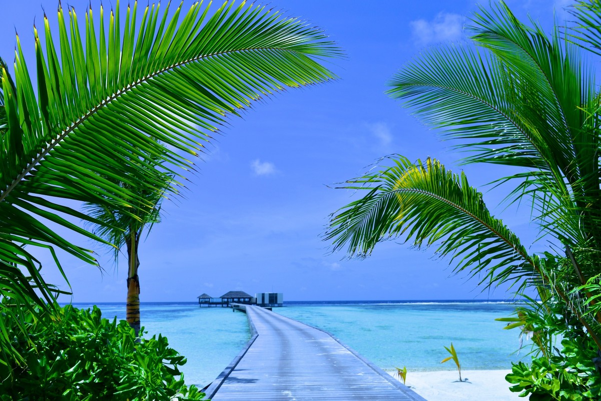 Maldives - Элина P