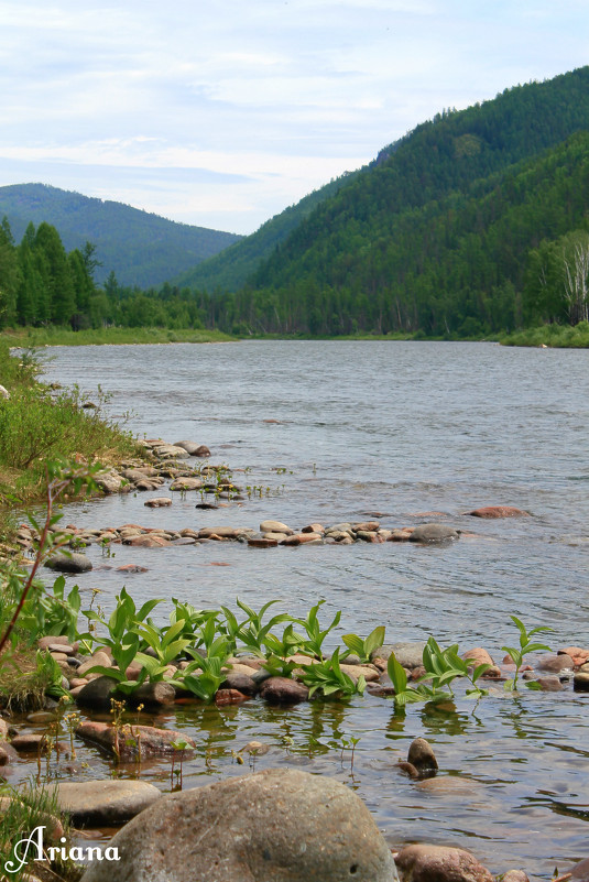 горная река - Арина Овчинникова