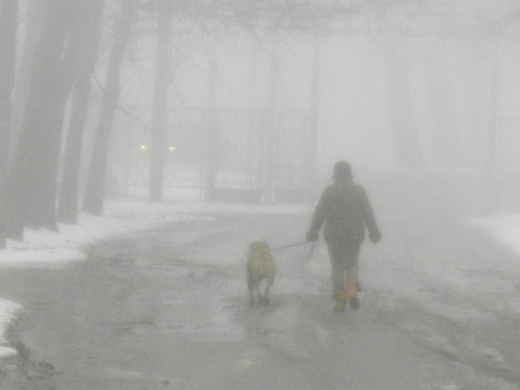 Весна, туман, прогулки в любую погоду. - Александр Бурилов