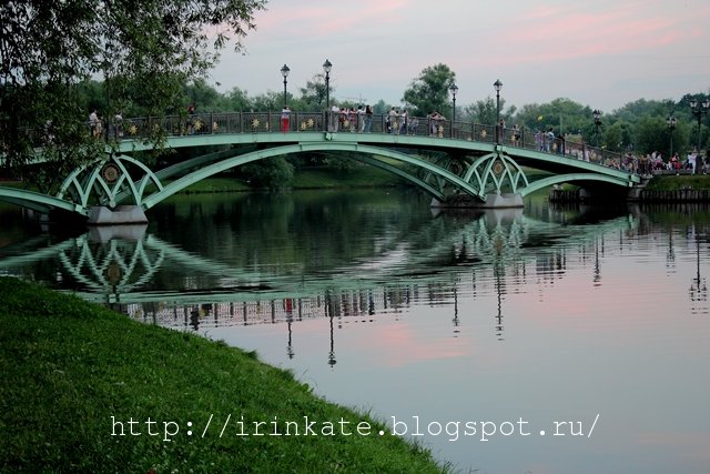 Мост розовым вечером - Ирина Терентьева