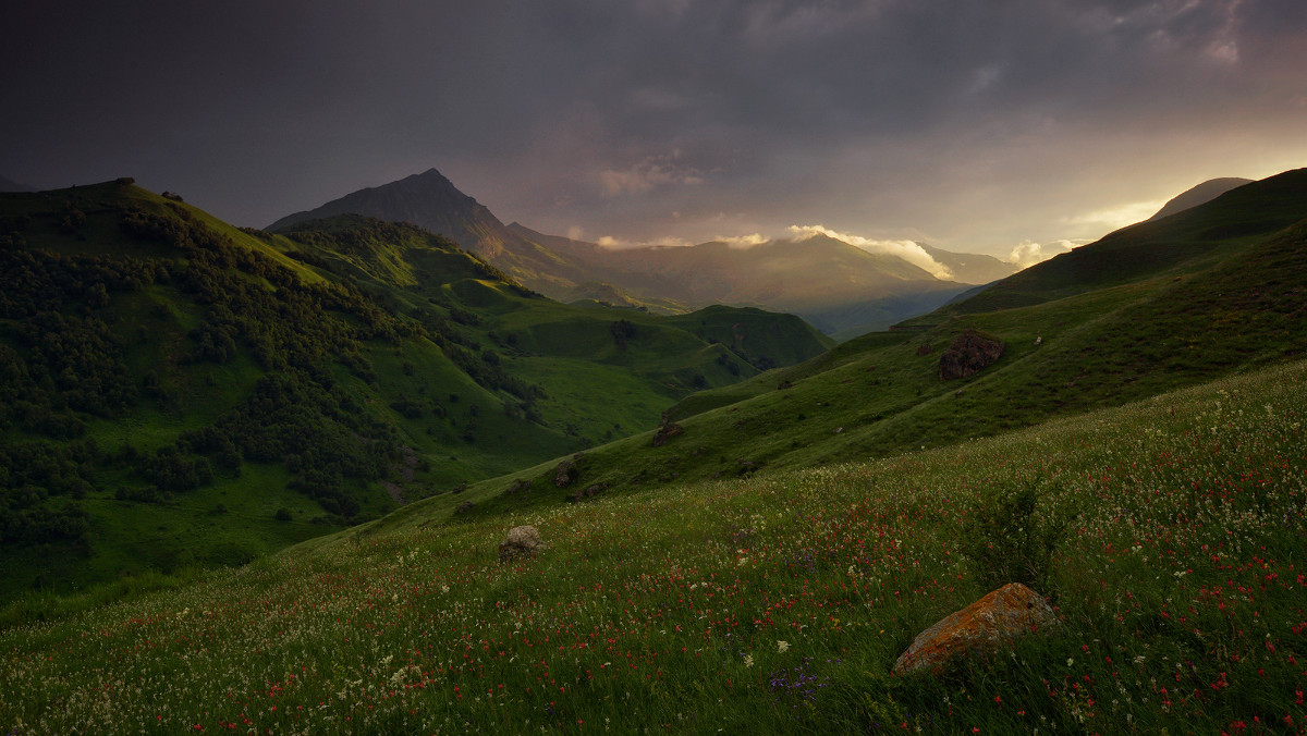 Дикая природа России кавказские горы