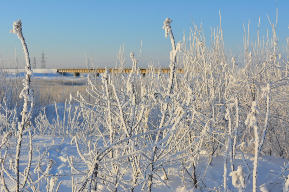 Река Кудьма на окраине Северодвинска. Впереди за мостом Белое море. - Михаил Поскотинов