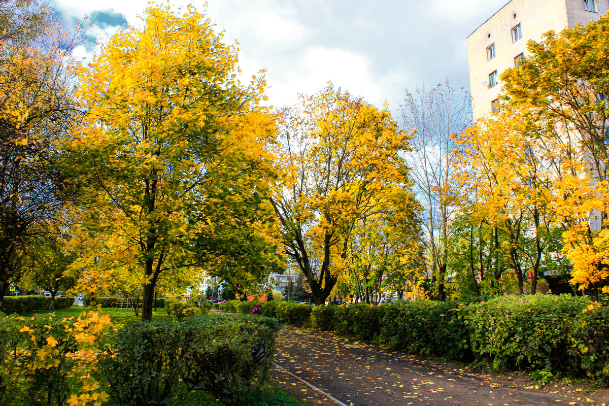 осень в городе - Сергей Кочнев