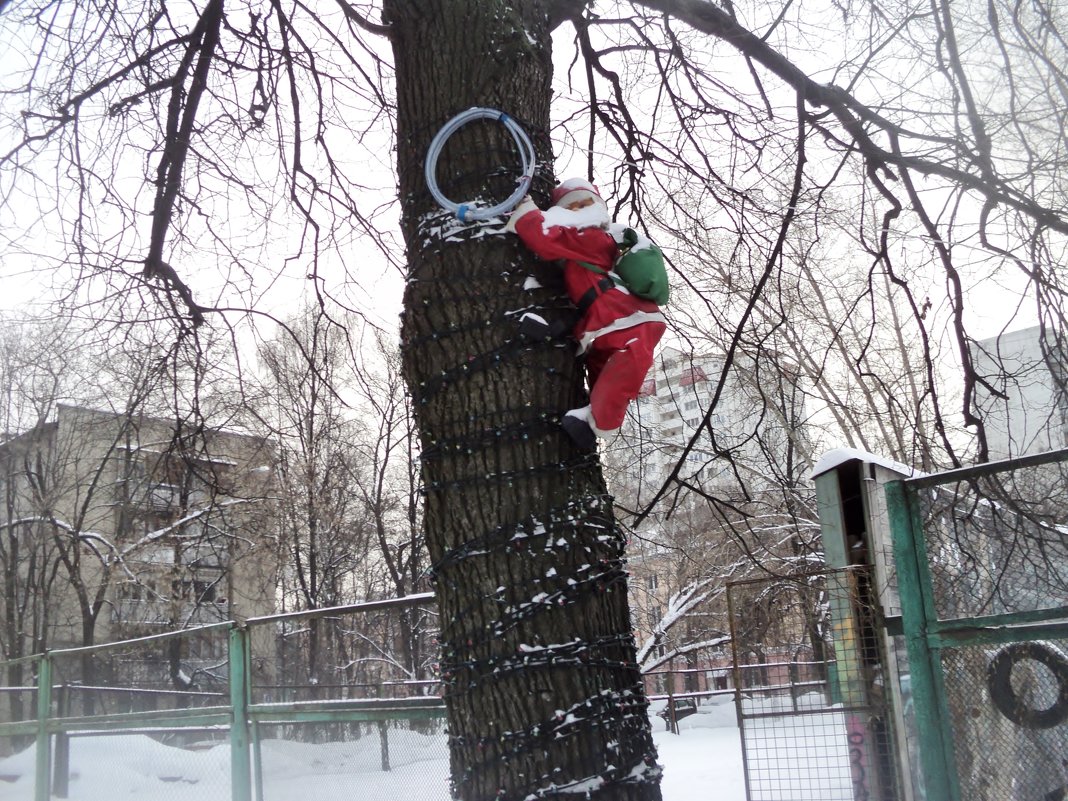Дед Мороз живёт по ул. 3-е почтовое город Люберцы. - Ольга Кривых