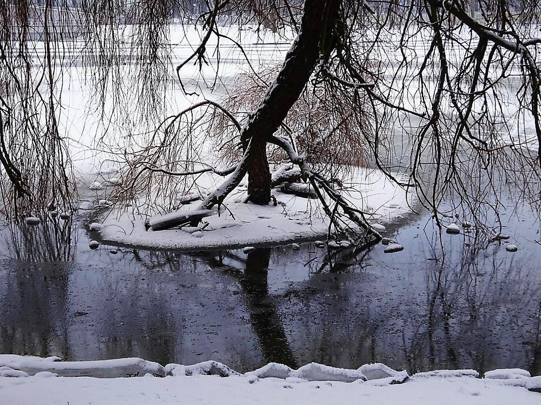 Январские зарисовки - Маргарита Батырева