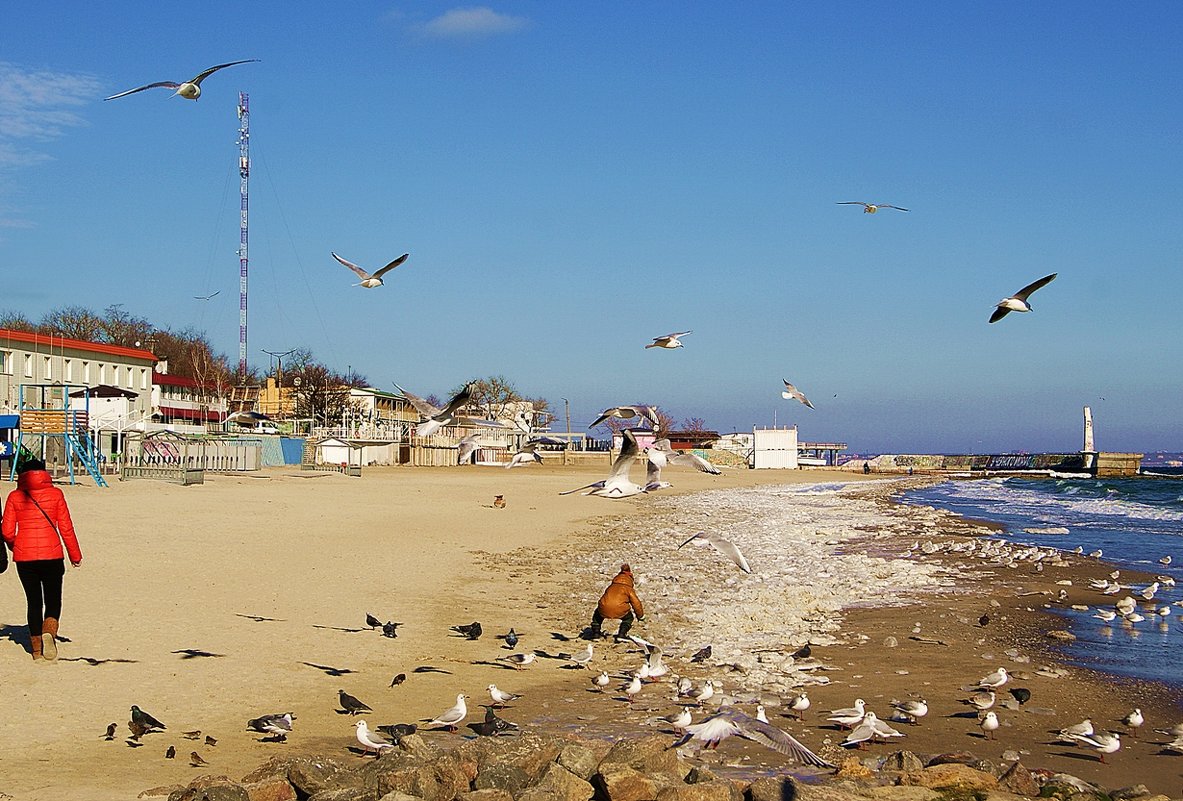 зимний пляж - Александр Корчемный