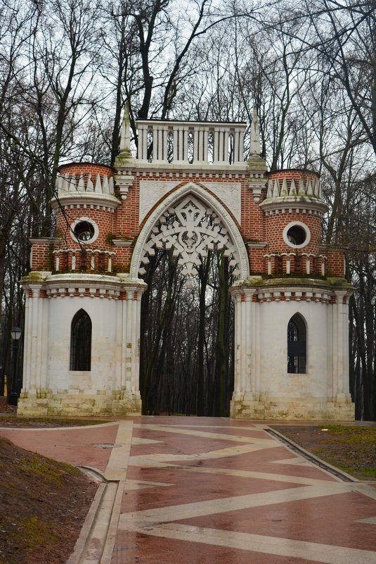 Диковинка Царицына . - Светлана Ларионова