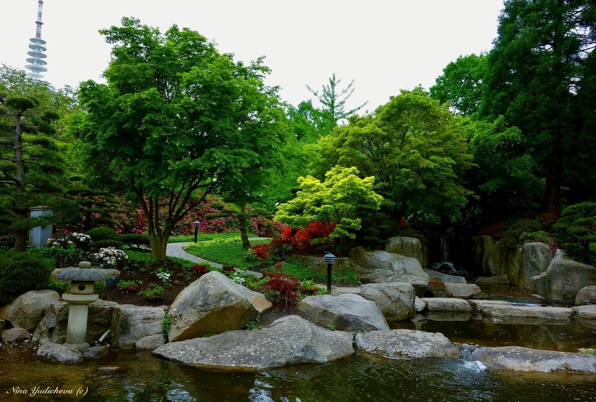 Парк цветов (серия). Японский сад - Nina Yudicheva