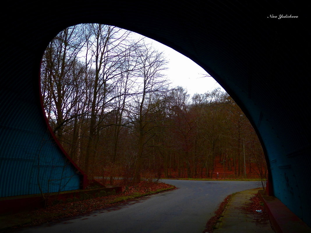 Лес в конце тоннеля - Nina Yudicheva