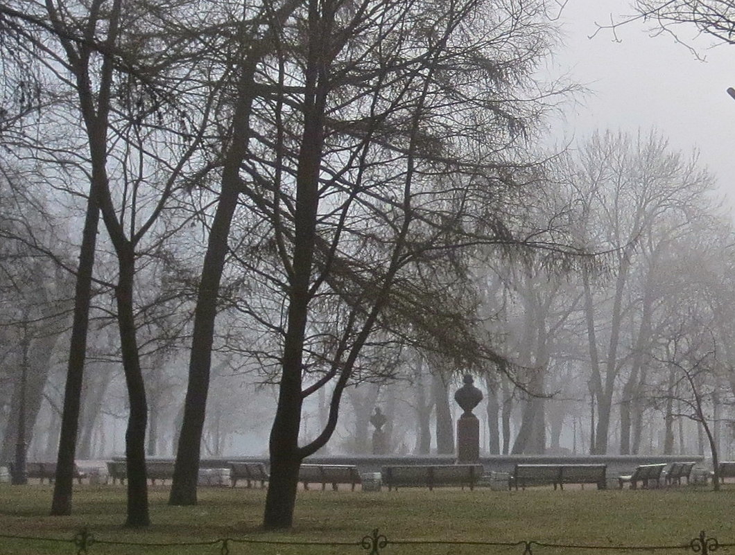 туманное утро в Александровском Саду - Елена 