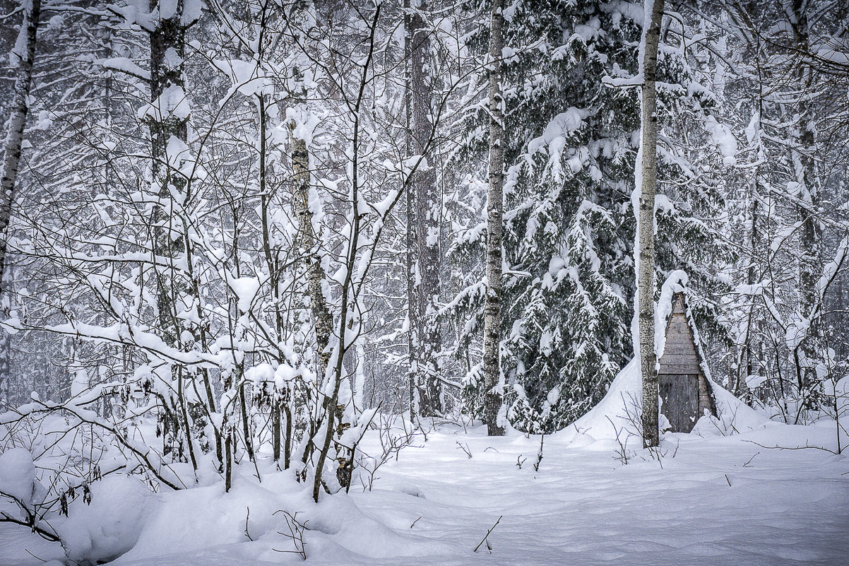 Зимняя сказка на Оленьих ручьях - Pavel Kravchenko