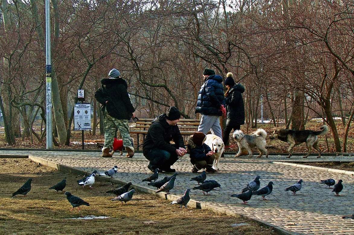 парковая зарисовка - Александр Корчемный