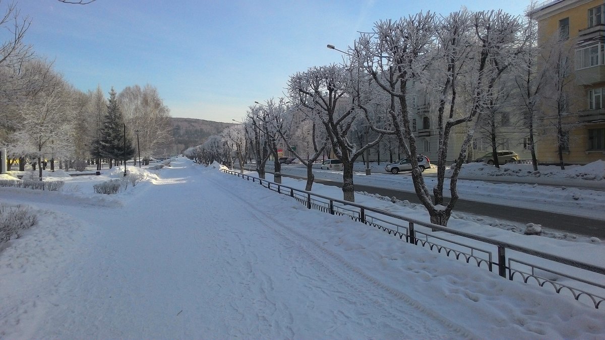 Мороз не для прогулок по аллеям - Владимир Звягин