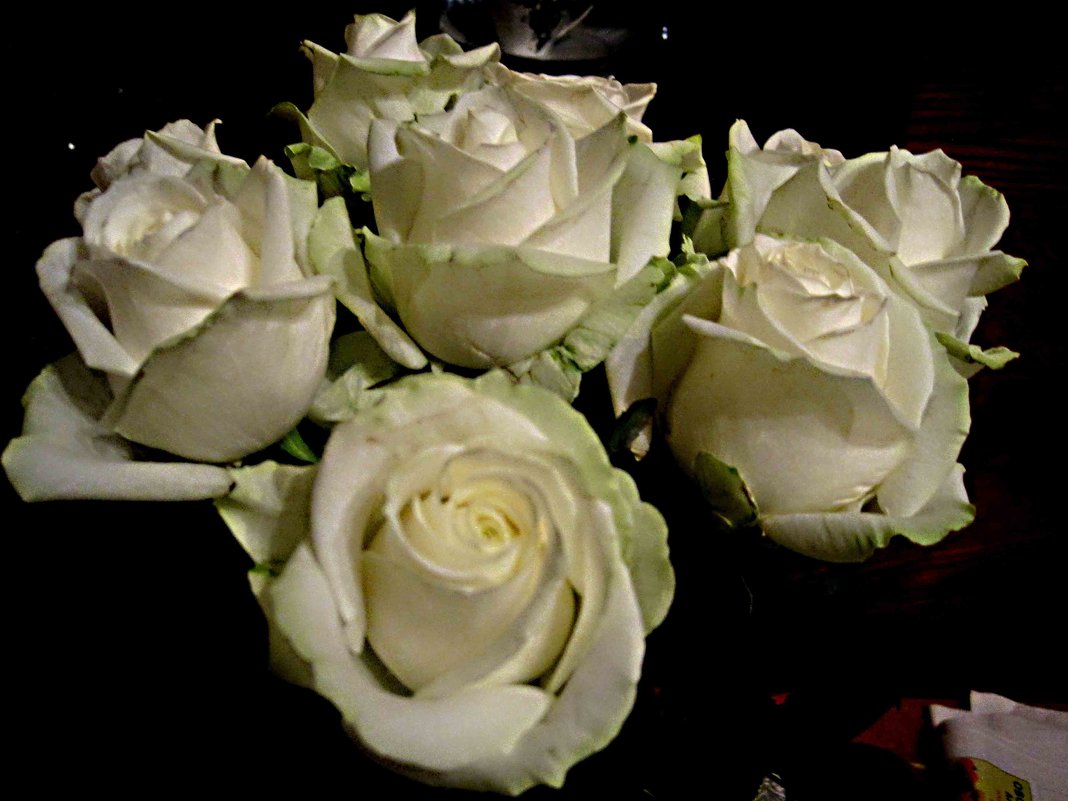 Букет из белых роз - Елена Семигина