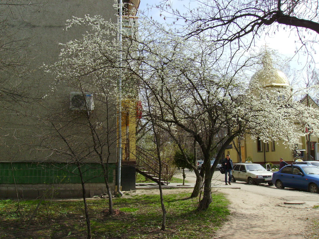 В   Ивано - Франковске - Андрей  Васильевич Коляскин