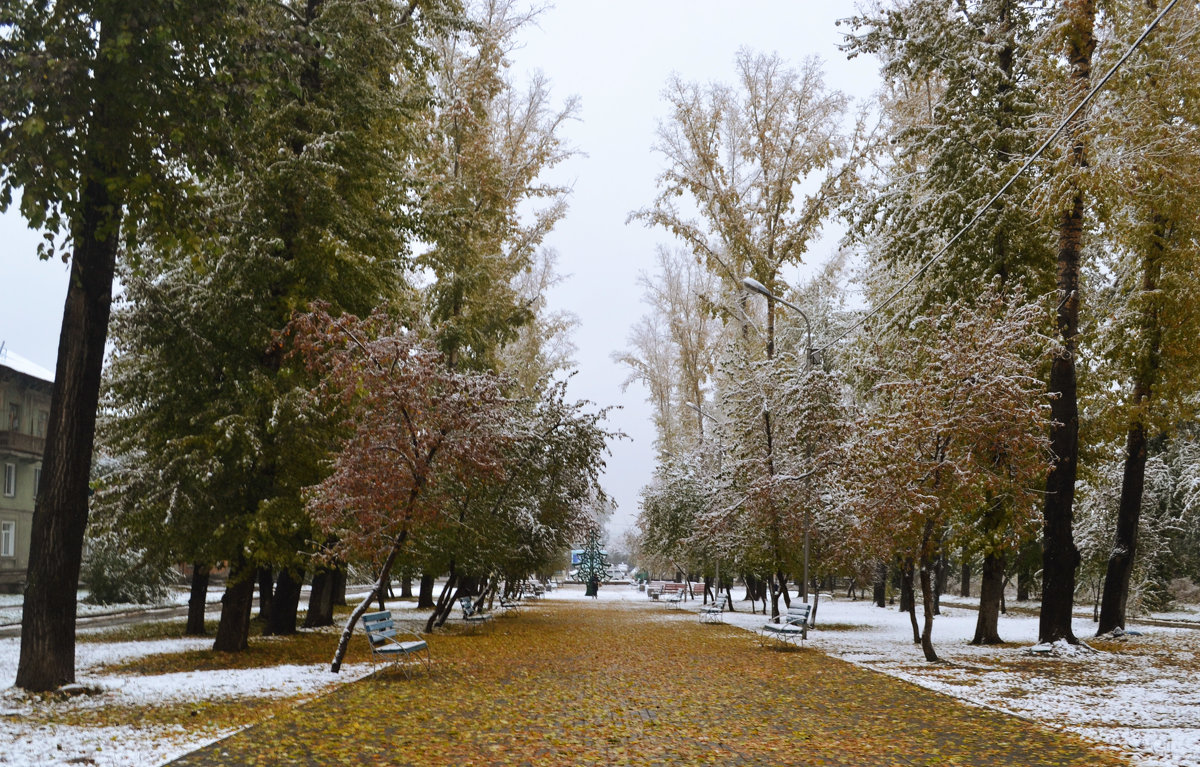 Осень и зима - Анастасия Михалева