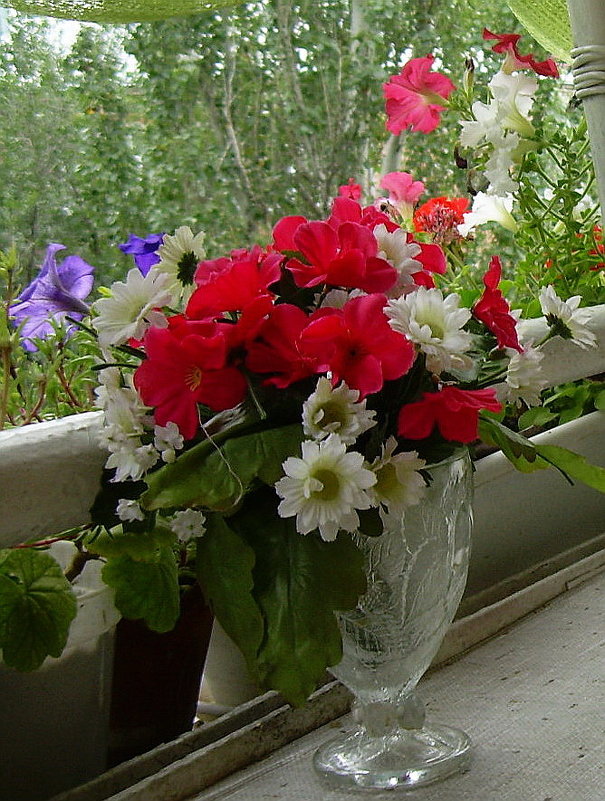 Цветы на балконе - татьяна 