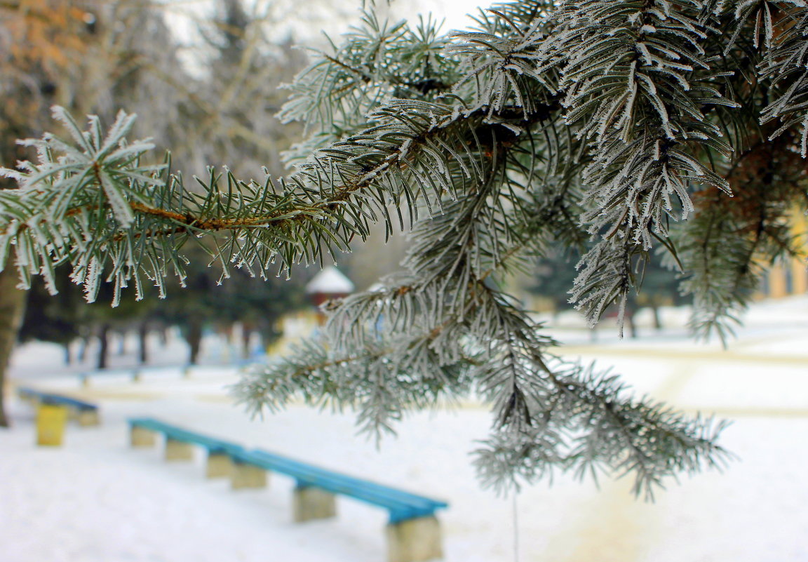 Мой город вновь зимой одет. - Валентина ツ ღ✿ღ