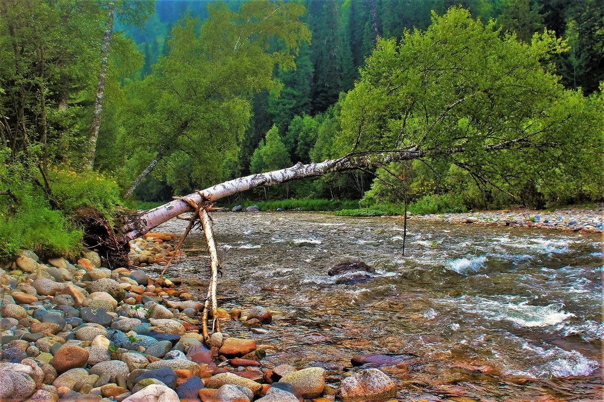 Подмытый берег - Сергей Чиняев 