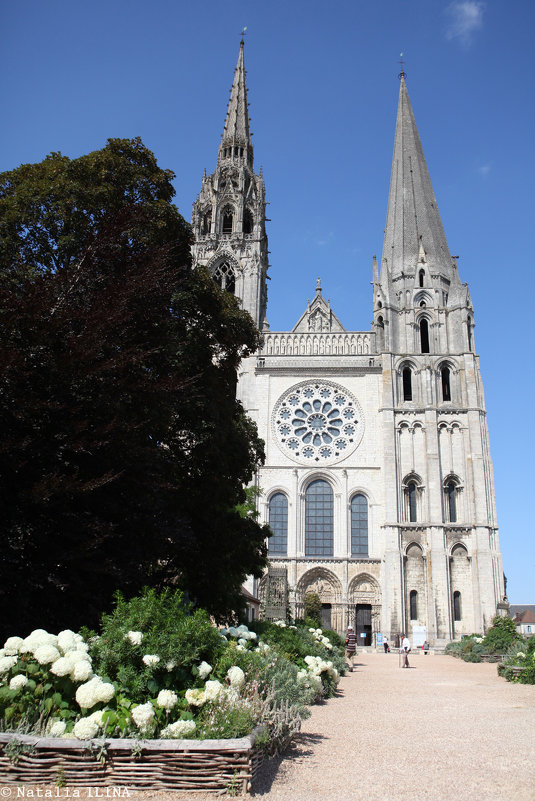 Шартрский собор - Фотограф в Париже, Франции Наталья Ильина