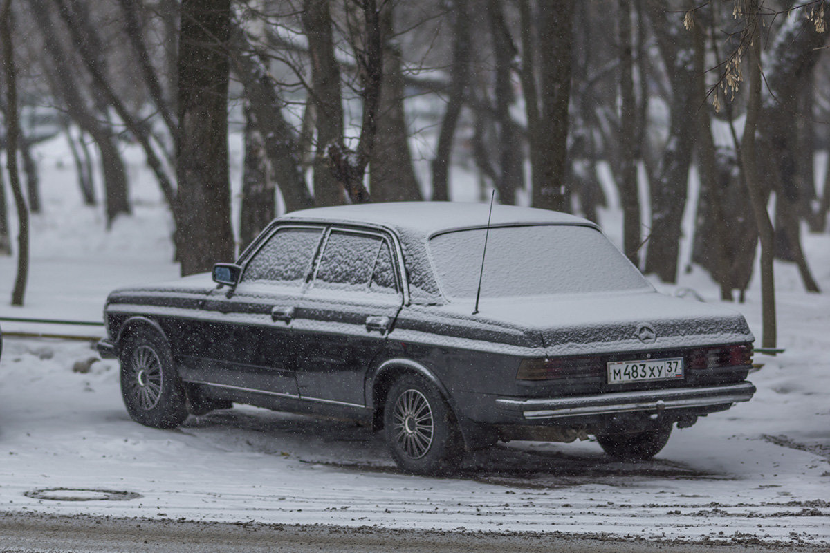 Снегопад в Москве - Игорь Герман