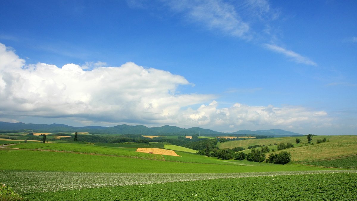 Landscape - ~ Backstage ~ N.