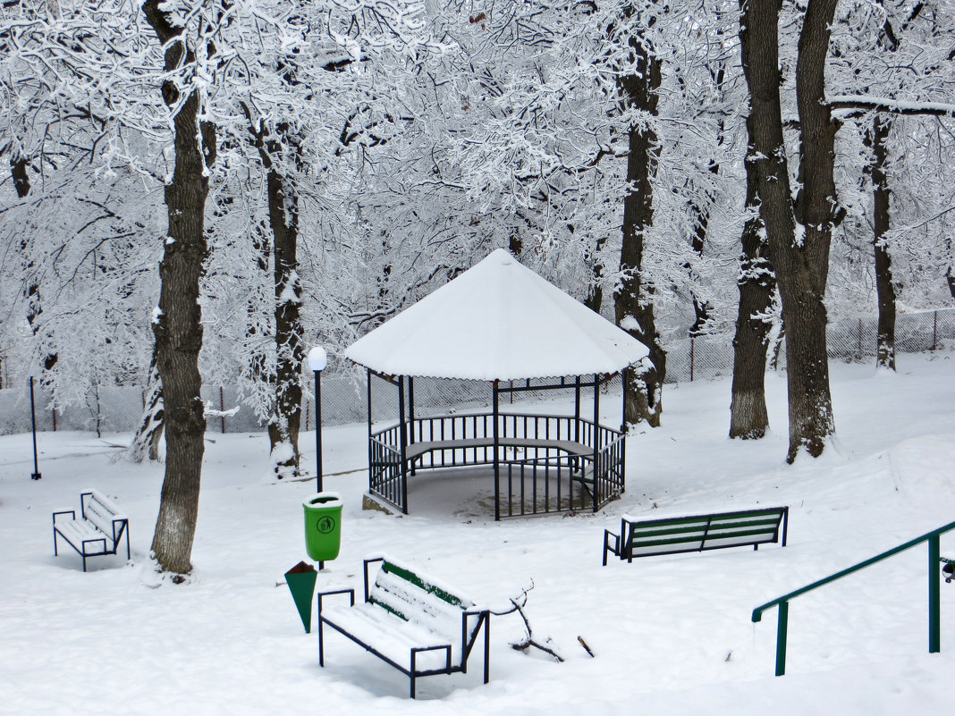 Зима в Коджори - Наталья (D.Nat@lia)