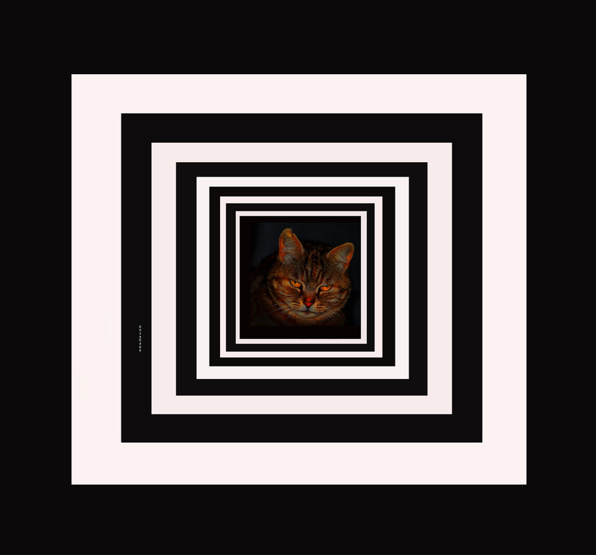 кошачий квадрат - Ксения Забара