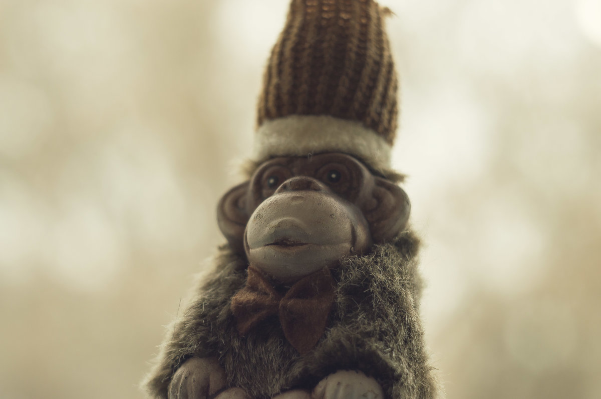 Важная обезьянка - Сергей 