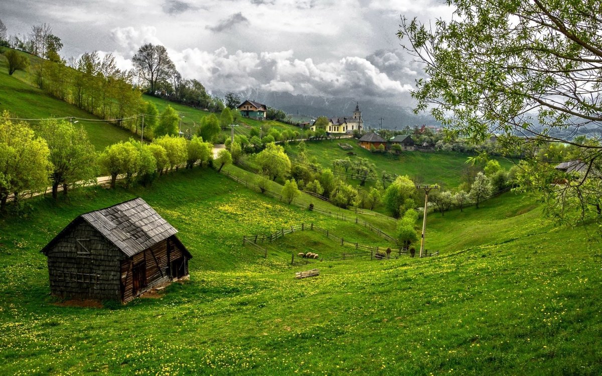 Transilvania - ~ Backstage ~ N.