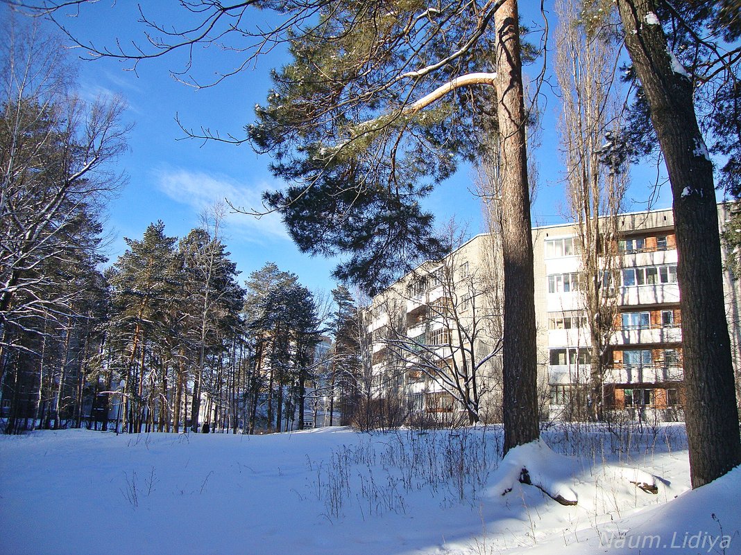 Любимый город зимой - Лидия (naum.lidiya)