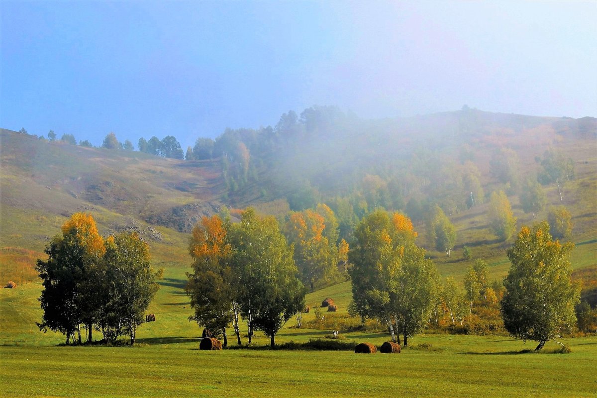 Осенний пейзаж - Сергей Чиняев 