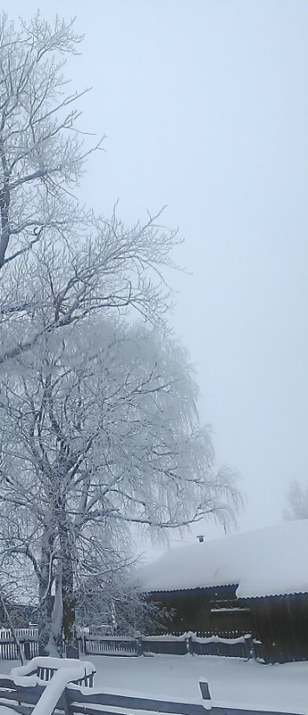 Зима.2017 - Артём Бояринцев