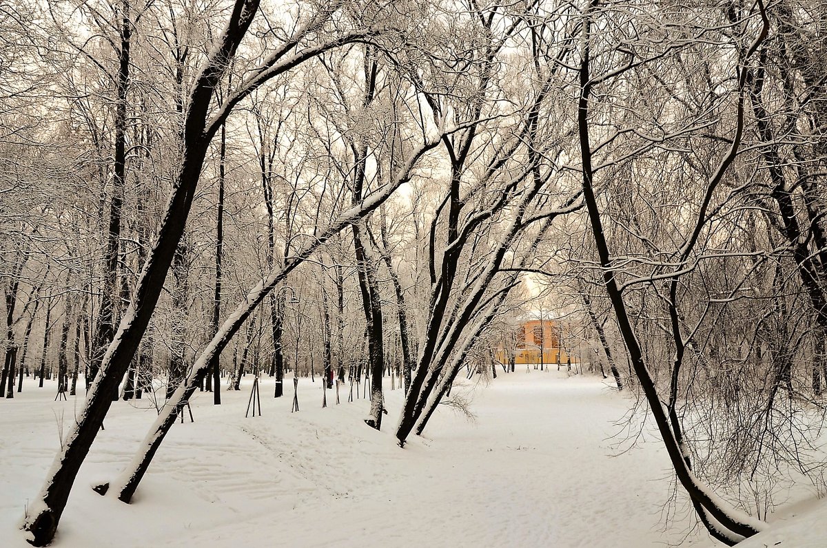 У зимнего пруда... - Sergey Gordoff