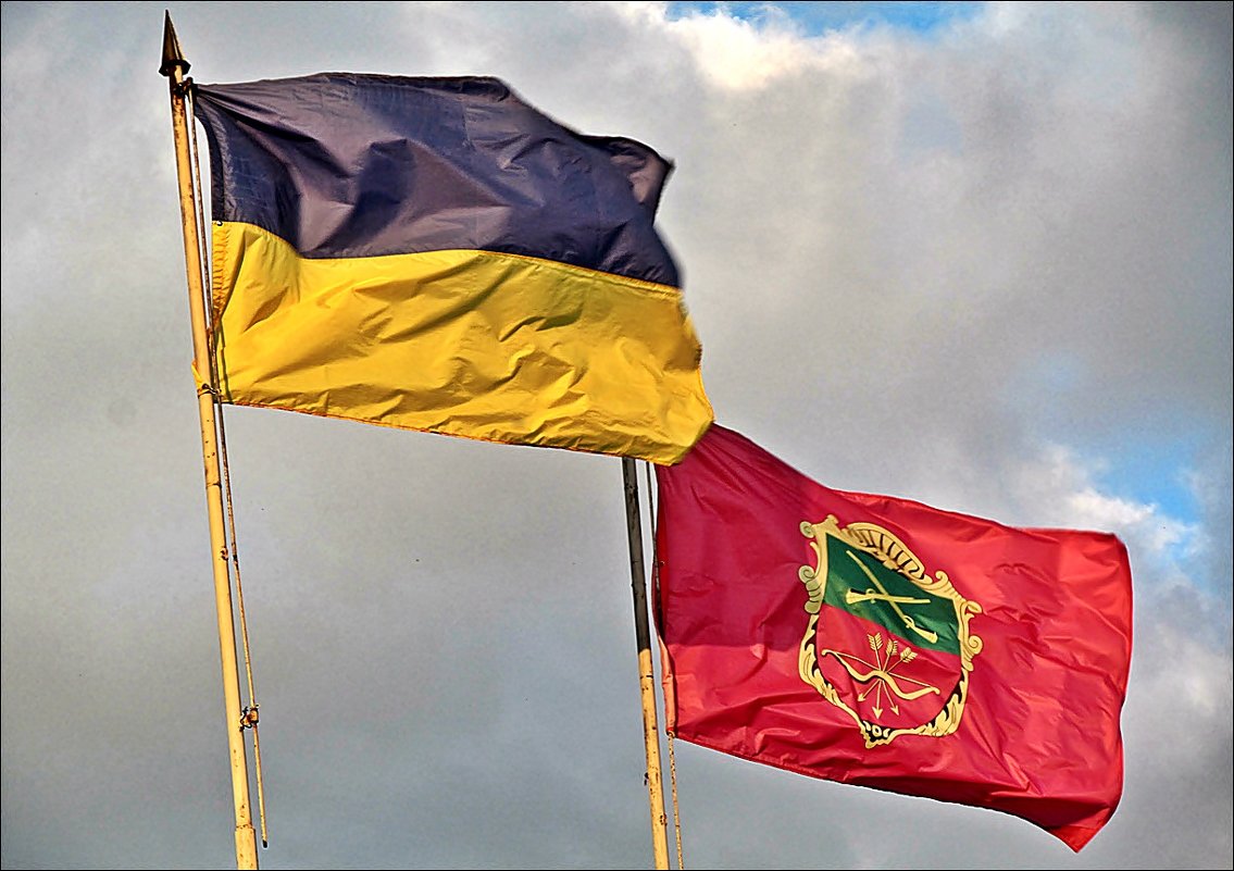 Флаги Украины и Запорожья - Нина Корешкова