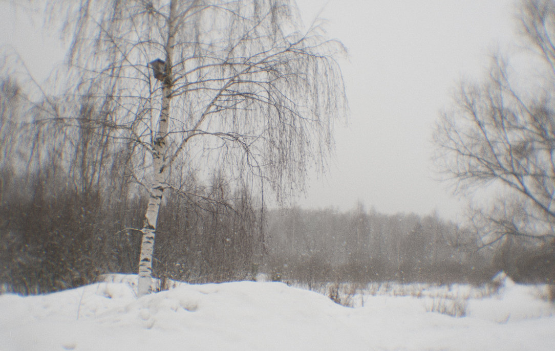 Февральский снегопад 2 - Владимир Носов