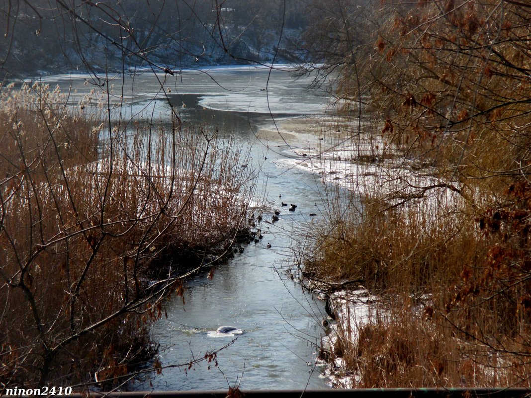 Зимняя река - Нина Бутко