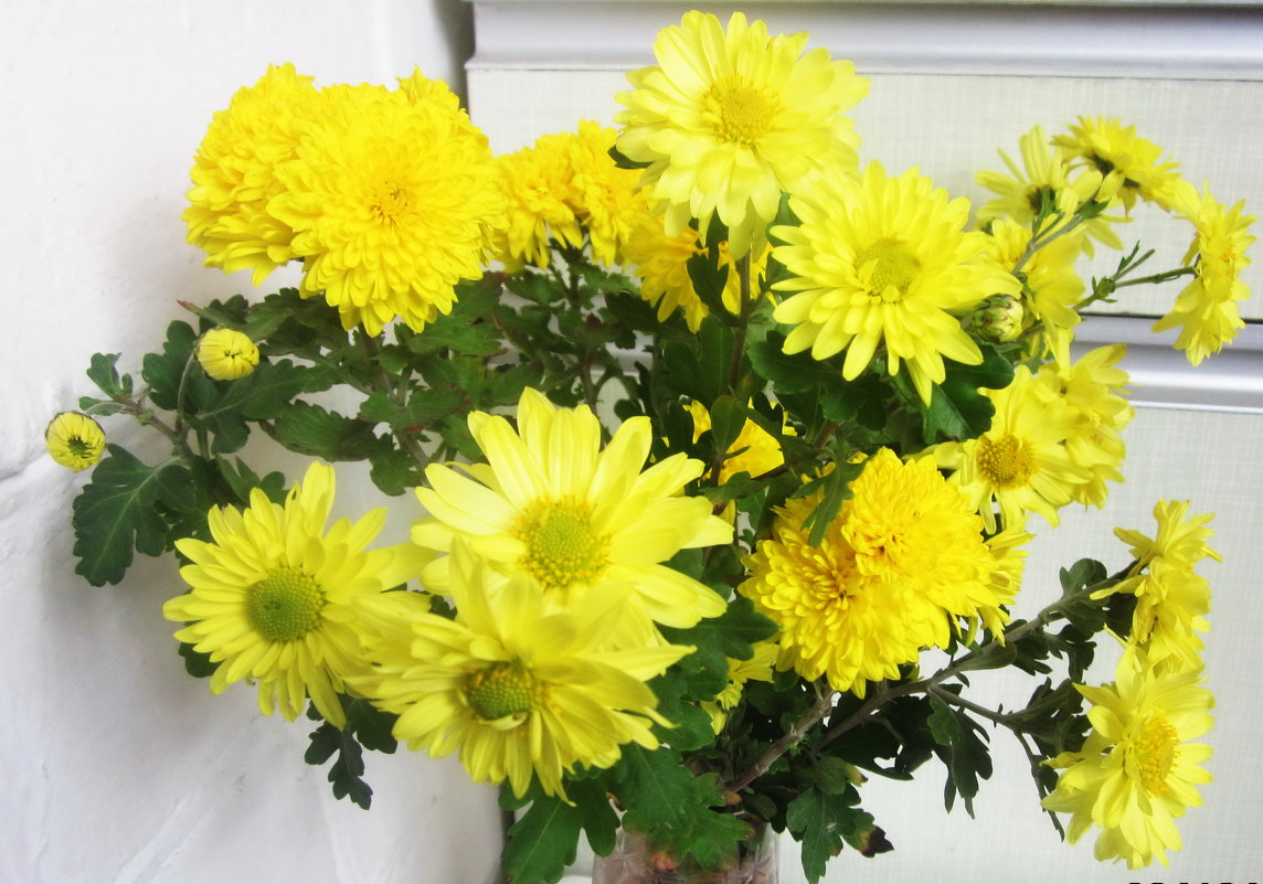 Желтые цветы - татьяна 